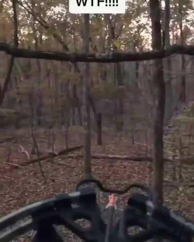 tell me not to shoot wildly at noises in the forest because of 