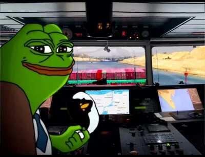 Pepe where are we going caw caw