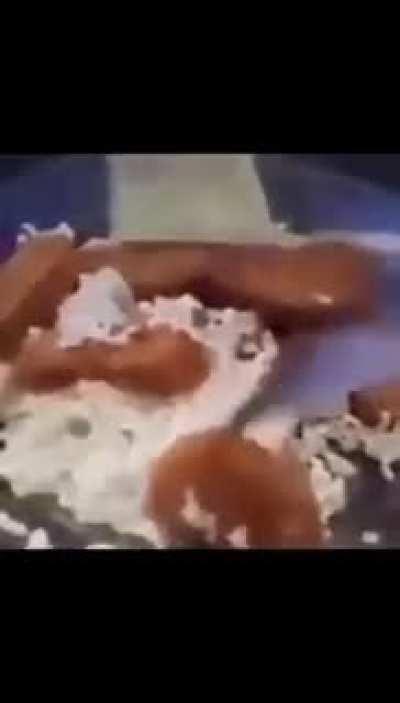 ki ki janta boa 😋