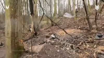 Ukrainian SOF raiding a Russian position near the village of Mogritsa in Sumy region.