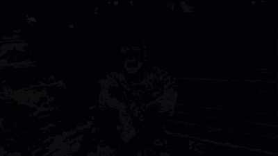 Daily Echidna meme #5