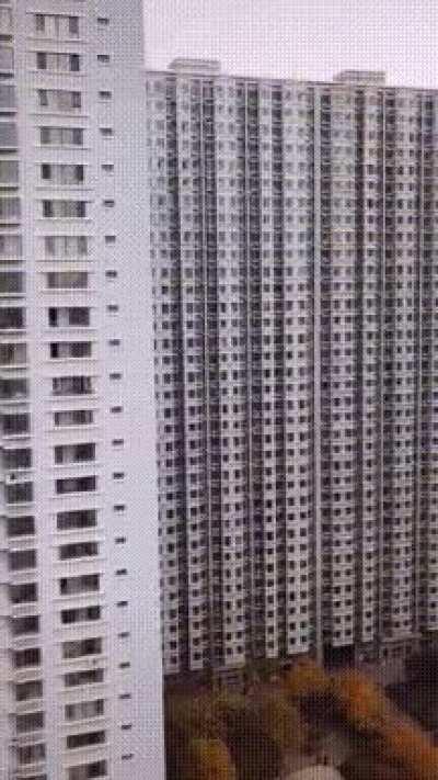 蜘蛛窝，多少沾点密恐了