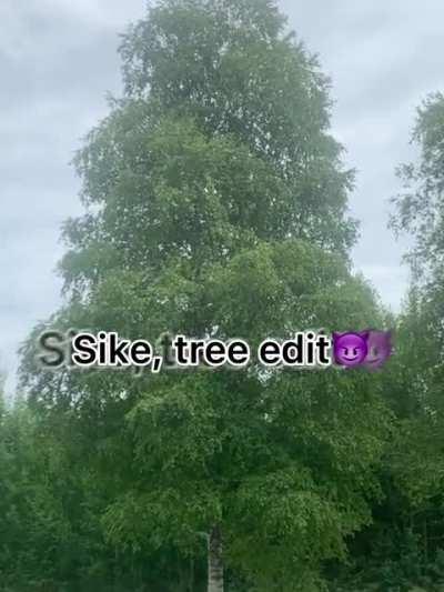 Chairs in my house! Part 2