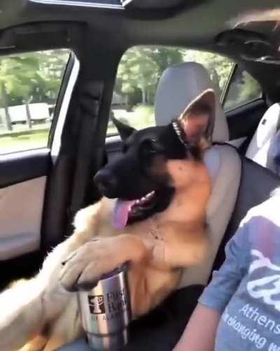 Просто наслаждается поездкой