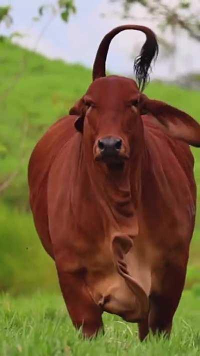 This feels like it belongs here.