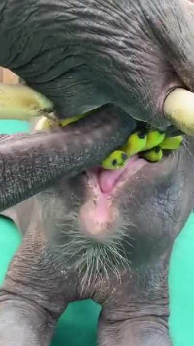 Peels as well, no problem my beer. Snack time