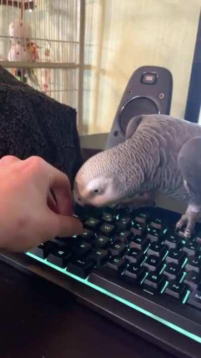 Who needs a key puller