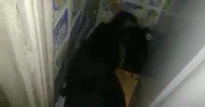 vc gosta de gatos ?, quantos ?...