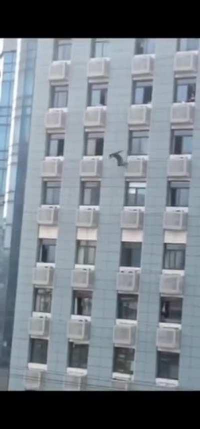 The consequences of the Zero-Covid policy lockdowns in China.