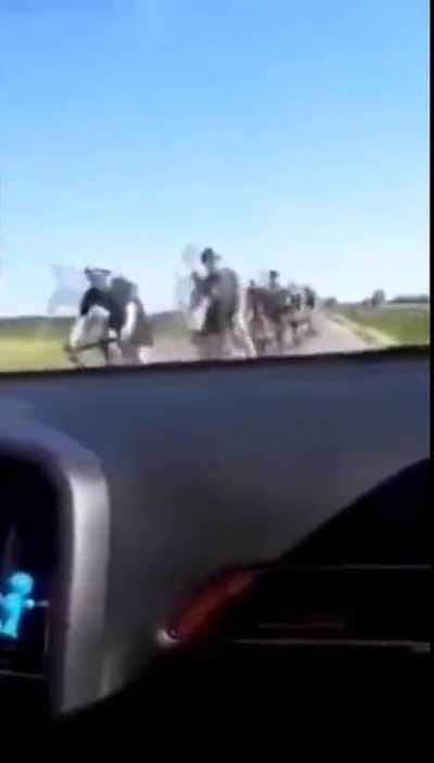 to pull over to let some cyclists safely pass