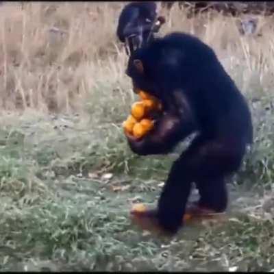 When you're making one trip with groceries 