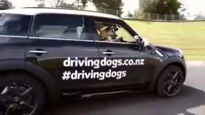 Just putting that on my cv