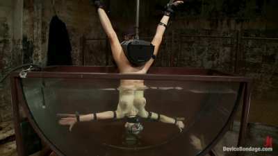 Normal orgasms... fun, but bound, upside down, submerged in water orgasms? Heavenly!!! Scream all you want toy, you just get more amusing by the second