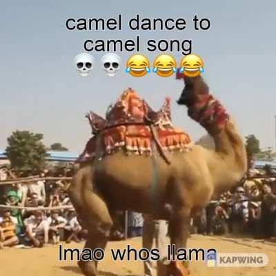 mom get the pet camelion 🙀🙀🙀😂😂😂😂💀💀💀