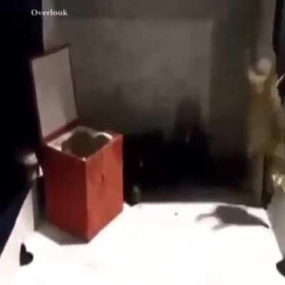 Every time my friends are sad I send them this. Don’t know why it works but it has been for 4 years now