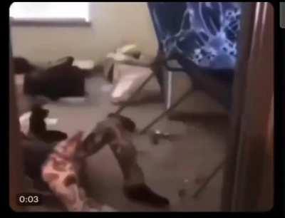 How the World Cup got me feeling