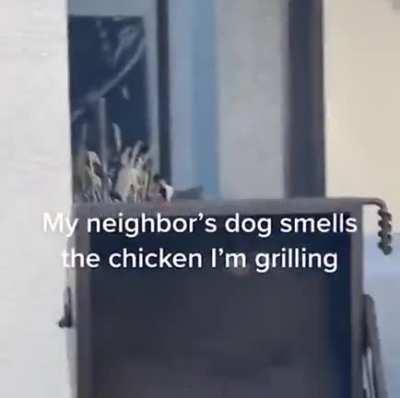 Day off. Someone is making barbecue in the country⁠⁠ I: