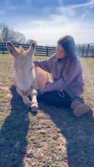 Farm Life, IG August 2024