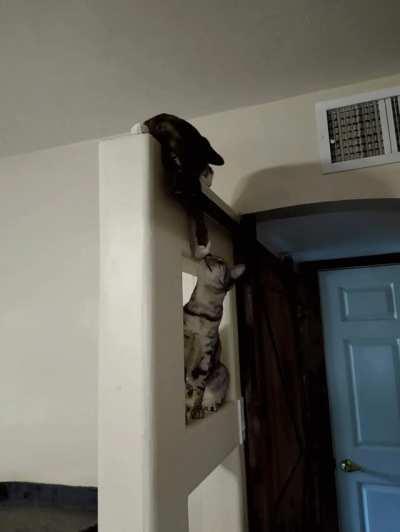 ^(AHHHHHHHHHHHHHHHHHHHHHHHHHHHHHHHHHHHHHHHHHHHHHHHHHHHHHHHHHHHHHHHHHHHHHHHHHHHHHHHHHHHHHHHHHHHHHHHHHHHHHHHHHHHHHHHHHHHHHHHHHHHHHHHHHHHHHHHHHHHHHHHHHHHHHHHHHHHHHHHHHHHHHHHHHHHHHHHHHHHHHHHHHHHHHHHHHHHHHHHHHHHHHHHHHHHHHHHHHHHHHHHHHHHHHHHHHHHHHHHHHHHHHHHHHHHH