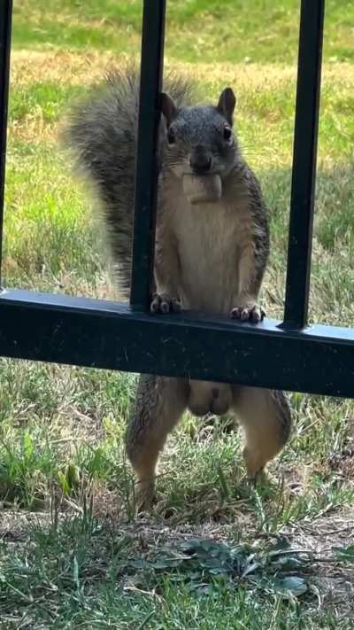 Why are these degenerates allowed to be naked in public?