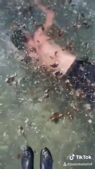 These people really do anything for fame