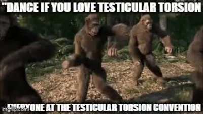 I had a dream that this was the biggest meme format of 2025.