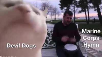 Stole this from u/Sweaty748. With the power of my shitty editing skills I fixed the cropping and added music. Happy birthday Devil Dogs!