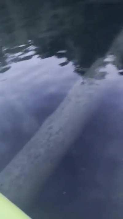 Underwater pipe that feeds a fire hydrant on the lake where I live