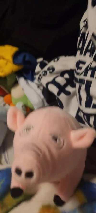 I have aquired Algie