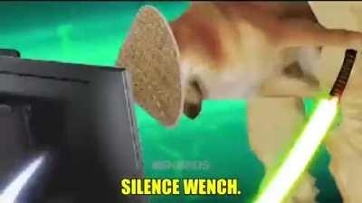 Silence wench (are you winning son edition)
