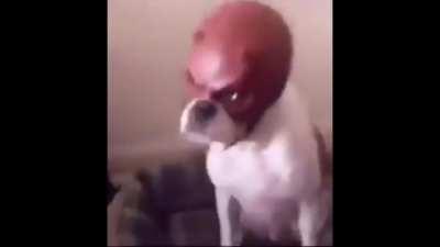 I've become a vessel of hatred