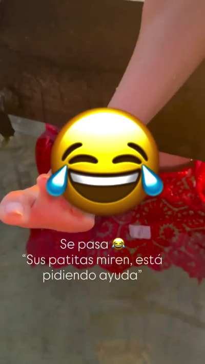 El mejor ángulo de liz