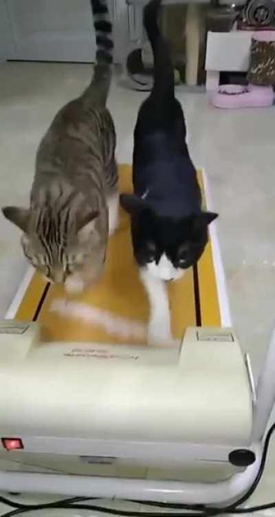 Тренировка