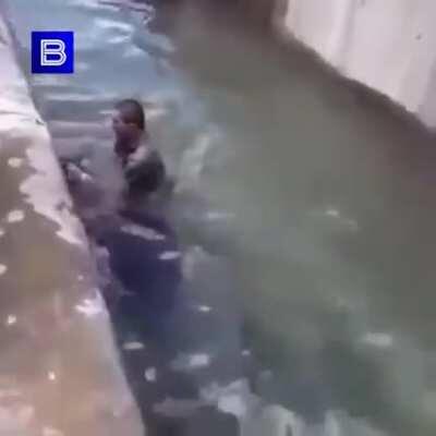 Man fights off a black bear after falling into the enclosure at the Warsaw zoo in Poland