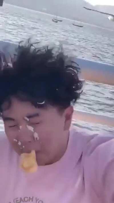 Trying to feed the seagulls