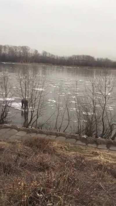 Bye Buddy hope you find your dad!