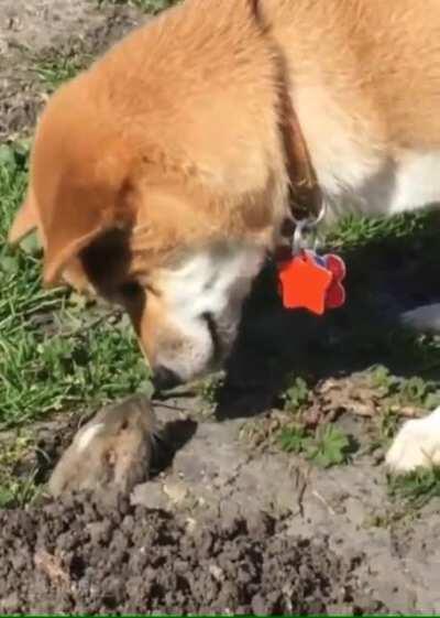 Hello. Wait, what...don’t go