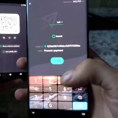 This is how fast and easy it is to send Bitcoin through the Lighting Network. ADOPT LIGHTING.