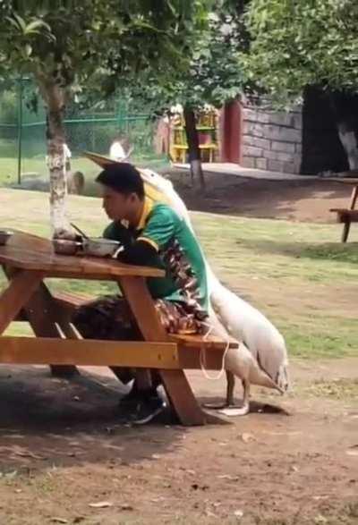 Ohh José, da um pedacinho aí, na moral?