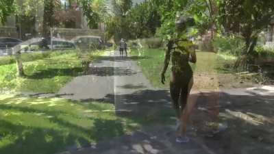 Stroll through the park 