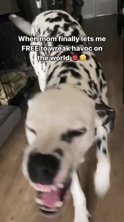 It’s time👹👹👹