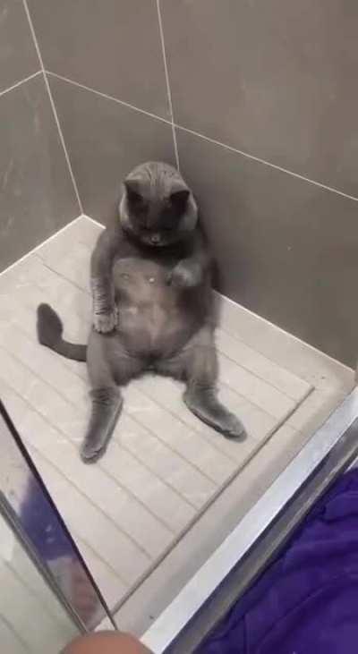 And hello to you, leather 😂