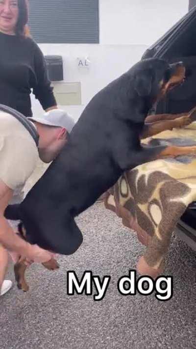 What’s wrong with my dog?😁