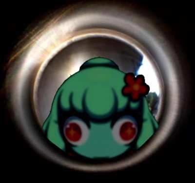 Would you let her in?