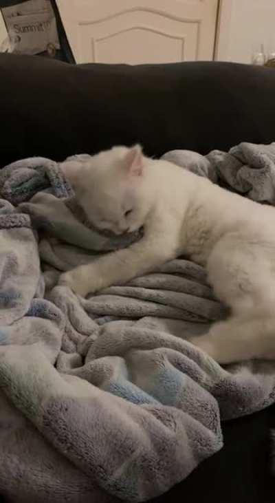 Can someone explain why my cat doing this ?🥺