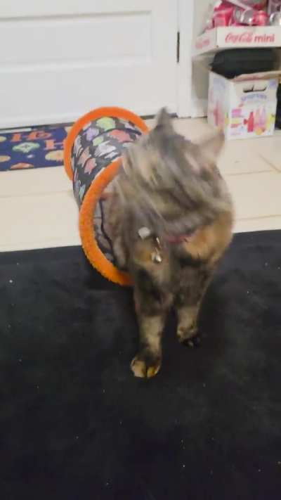 Jelly chirps for Balloon