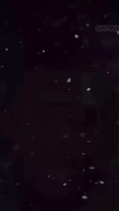 Those who dough 🍞