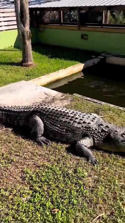 I don't think he likes his ass slapped..