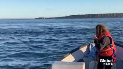 Freaking out in the Middle of the Ocean