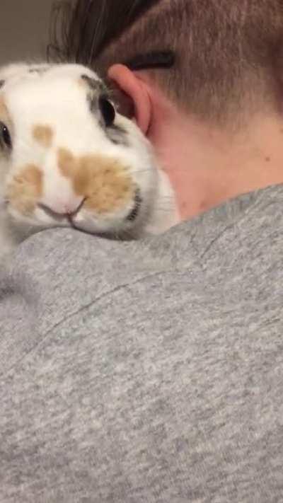 Hero doesn't know what to do with treats if you're holding her while you feed them to her